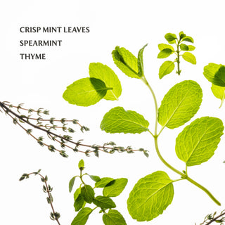 Frosted Mint Power Mist Hydrating Hand Sanitizer-option1]-kendra-kays-boutique