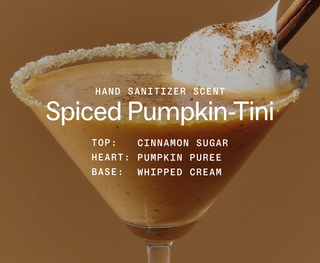 Spiced Pumpkin-Tini Power Mist Hand Sanitizer-option1]-kendra-kays-boutique