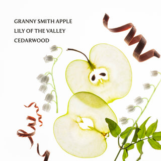Applelicious Power Mist Hydrating Hand Sanitizer-option1]-kendra-kays-boutique