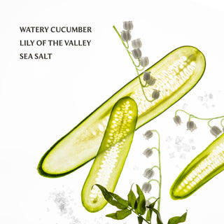 Lily Of The Valley Gentle Mist Ultra-Soothing Hand Sanitizer-option1]-kendra-kays-boutique